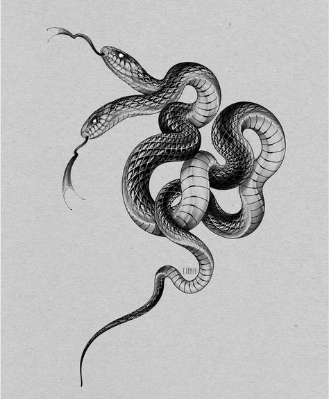 Dreams about snakes: what dreams about snakes mean #dreams #dreamsaboutsnakes Black Snake Tattoo, Snake Sketch, Arte Jazz, Snake Illustration, Serpent Tattoo, Snake Drawing, Snake Tattoo Design, Skeleton Tattoos, Creepy Tattoos