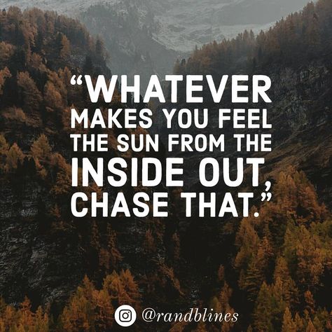 “Whatever makes you feel the sun from the inside out, chase that.” . . Tag someone who needs to see this. . . Follow 👉 @randblines for more… What Ever, Tag Someone Who, Tag Someone, Make You Feel, The Sun, Inside Out, Life Quotes, How Are You Feeling, Sun