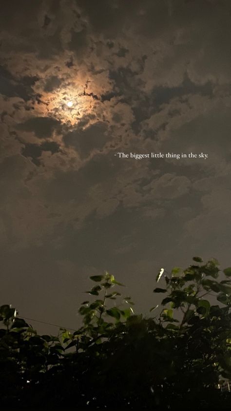 Simple Nature Captions, Tree Aesthetic Quotes, Moon And Star Quotes, Instagram Story App, Best Pov, Sunset Quotes Instagram, Snapchat Ideas, Sky Quotes, Mustang Car