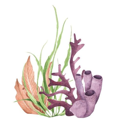 Sea Plants Illustration, Underwater Plants Illustration, Ocean Elements Illustration, Sea Plants Drawing, Sea Plants Underwater, Sea Coral Drawing, Seaweed Illustration, Coral Illustration, Coral Drawing