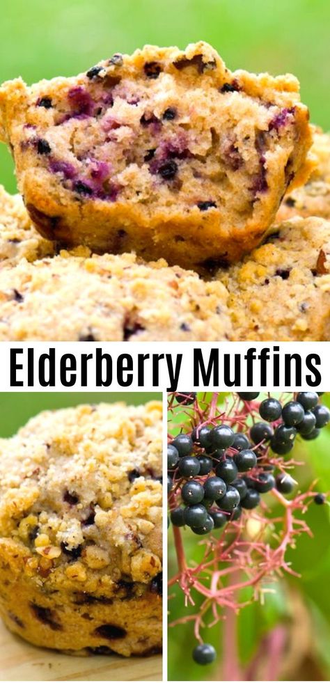 Elderberry Cake Recipes, Aronia Berry Muffins, What To Do With Elderberries, Elderberry Recipes Desserts, Elderberry Scones, Elderberry Dessert Recipes, Elderberry Muffins, Elderberry Cake, Strict Mom