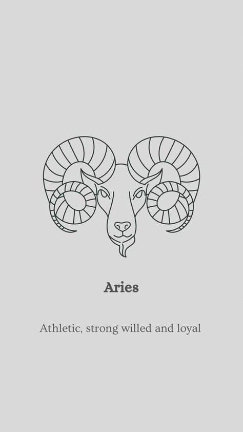 Pin for Aries Aries Animal Tattoo, Aries Line Art, Aries Ram Drawing, Aries Aesthetic Tattoo, Aries Ram Tattoo For Women, Aries Zodiac Drawing, Aries Drawing, Aries Ram Tattoo, Widder Tattoo