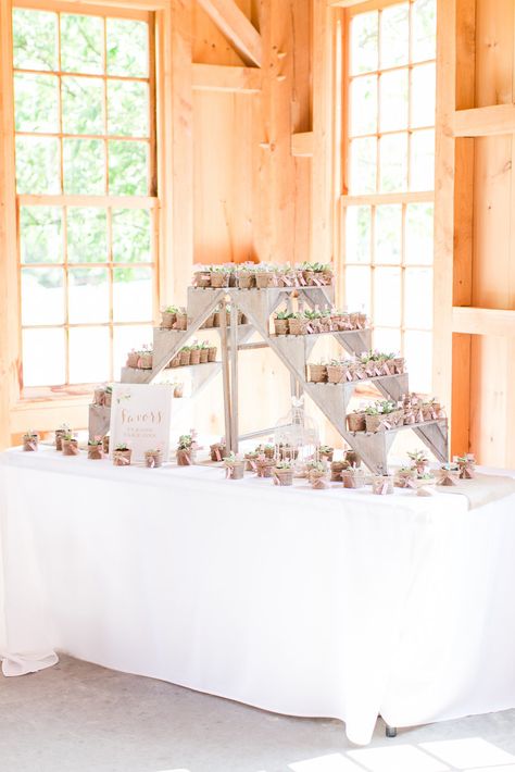 Looking for a way to add some dimension to your favor table? This couple repurposed mini-steps and placed tiny potted succulents on each tier. Wedding Favor Display, Doorgift Ideas, Zen Table, Favor Display, Ceremony Table, Wedding Guest Signing, Personalized Handkerchiefs, Wedding Favor Table, Winter Wedding Favors