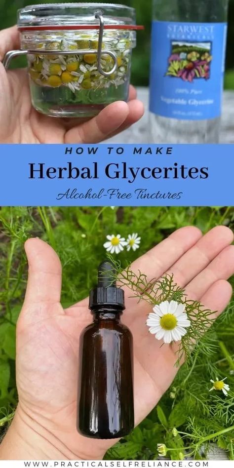 Herbal Glycerites, Diy Tinctures, Herbalism For Beginners, Herbalism Recipes, Tinctures Herbal, Medicinal Herbs Remedies, Benefits Of Herbs, Medicinal Wild Plants, Herbal Vinegar