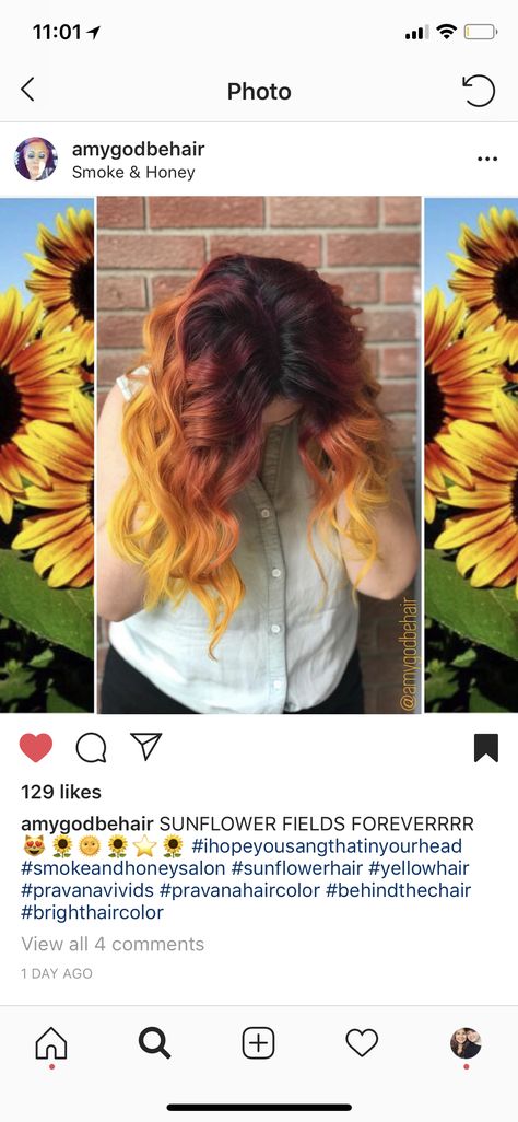 Sunflower Hair Color Ombre, Sunflower Hair Color, Pravana Hair Color, Reverse Ombre Hair, Sunflower Hair, Reverse Ombre, Blue Ombre Hair, Bright Hair Colors, Olive Skin