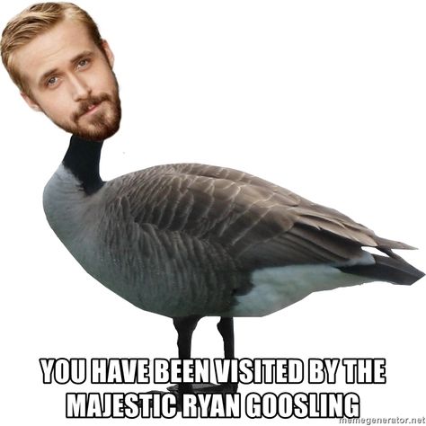 Ryan Gosling Papercraft, Ryan Gosling Meme, Random Jokes, Ya Like Jazz?, Human Bean, Barbie Movie, You Meme, I Want Him, Ryan Gosling