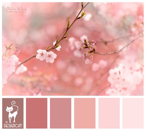 Cherry Blossom - Pink, blush, dusky, rose Designcat Colour Inspiration Board Cherry Blossom Bedroom, Cherry Blossom Wedding Theme, Cherry Blossom Party, Sakura Wedding, Cherry Blossom Theme, Wedding Color Pallet, Hex Color Palette, Cherry Blossom Wedding, Pink Palette