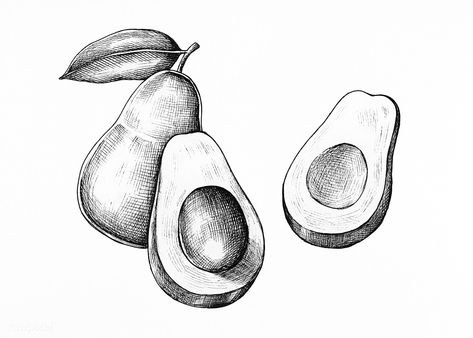 Hand drawn fresh avocado in black and white | premium image by rawpixel.com Black And White Fruit, Avocado Drawing, Avocado Illustration, Hand Drawn Fox, Pineapple Drawing, Draw Food, Pineapple Vector, Cocktails Vector, Lemon Set