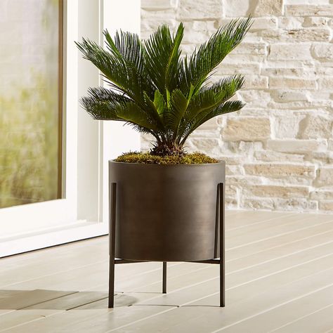 Dundee Bronze Low Indoor/Outdoor Planter with Stand + Reviews | Crate and Barrel Planter With Stand, Tall Plant Stands, Iron Planters, Indoor Outdoor Planter, White Planters, Modern Planters, Grey Tones, Outdoor Planters, Dundee