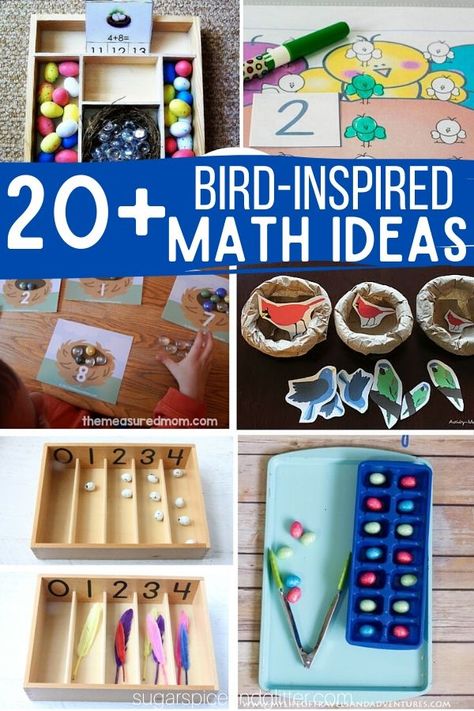 Over 20 Bird-inspired Math Ideas for a Bird Unit Study, plus fun ideas to bring the bird theme into sensory play, practical life, science and art Birds Kindergarten Activities, Bird Crafts Preschool, Montessori Math Activities, Birds For Kids, Birding Journal, Preschool Units, Montessori Toddler Activities, Montessori Math, Montessori Ideas