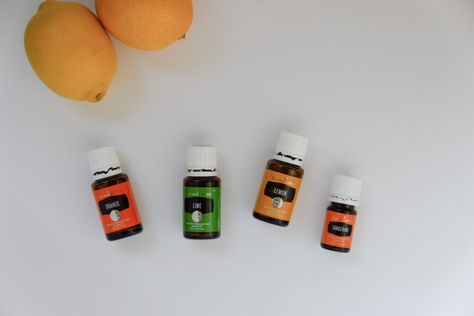 Essential Oil Substitutions for All Your Favorites - Recipes with Essential Oils Substitute For Sandalwood Essential Oil, Antiseptic Essential Oils, Benefits Of Orange Essential Oil, Wild Orange Essential Oil Benefits, Idaho Blue Spruce, Spruce Essential Oil, Oil Substitute, Best Diffuser, Cassia Cinnamon