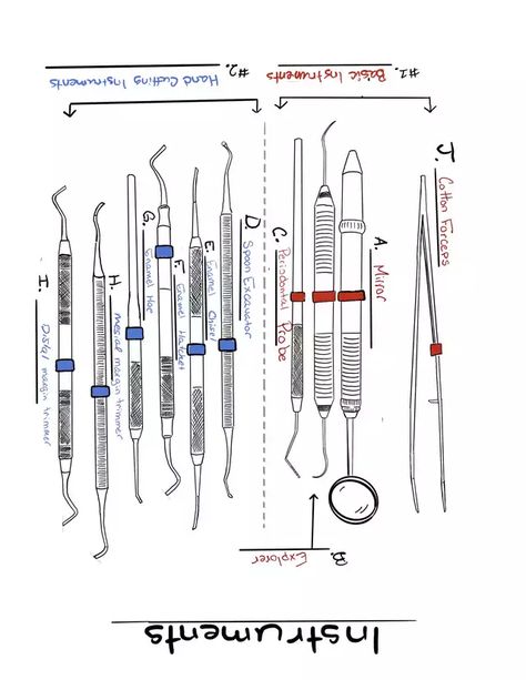 Instruments ID sheets answers - Imgur Dental Assistant Instruments, Dental Instruments Names, Dentistry Notes, Dental Assistant Study Guide, Dental Infographics, Dental Notes, Teeth Diagram, Ent Clinic, Dental Assistant School