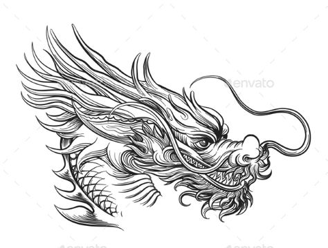 Hand Drawn Chinese Dragon Head - Miscellaneous Conceptual Chinese Dragon Head, Dragon Head Drawing, Chinese Dragon Drawing, Dragon Head Tattoo, Art Vampire, Dragon Tattoo Art, Chinese Dragon Tattoos, Dragon Face, Head Drawing