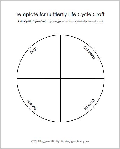 free butterfly life cycle template Blank Life Cycle Template, Butterfly Life Cycle Preschool, Psychology Activities, Life Cycles Preschool, Butterfly Life Cycle Craft, Butterfly Lessons, Camp Projects, Life Cycle Craft, Insect Activities