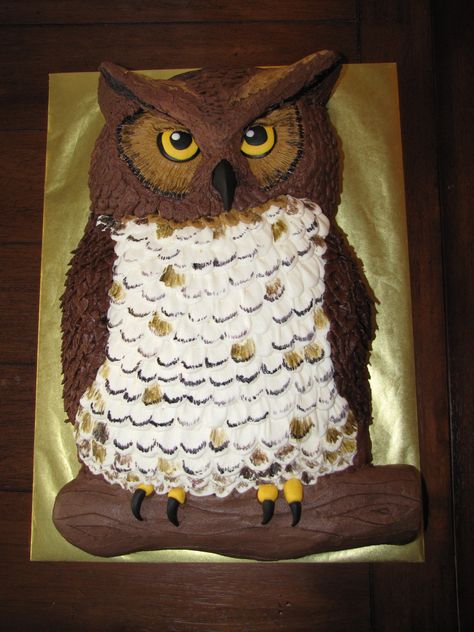 Owl cake - The birthday boy wanted a realistic looking owl cake... so heres what I came up with.  Sculpted from two 11x15 sheet cakes, all buttercream except for the fondant eyes, beak and feet. Owl Cake Birthday, Ladybug Cakes, Twin Birthday Cakes, Owl Cakes, Woodland Cake, Cinderella Cake, Owl Cake, Cupcake Cake Designs, Owl Birthday