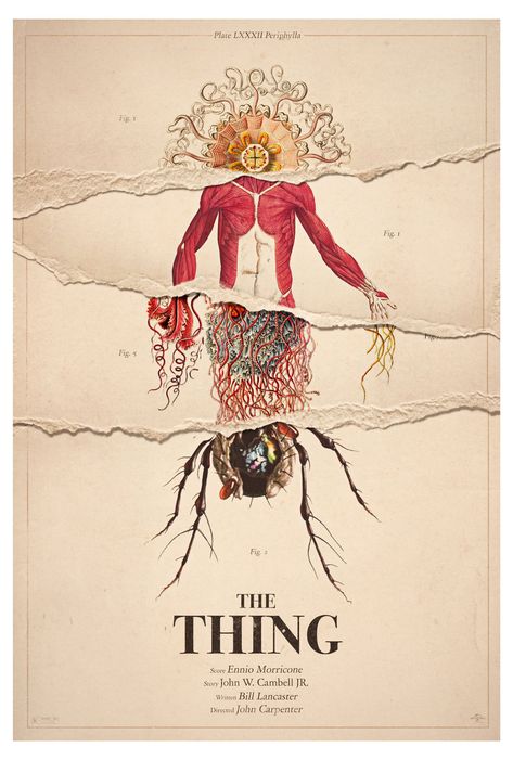 The Thing (1982) by David Graham The Thing Movie Poster, The Thing 1982, Horror Posters, John Carpenter, Movie Posters Design, Horror Movie Posters, Keys Art, Alternative Movie Posters, Movie Poster Art