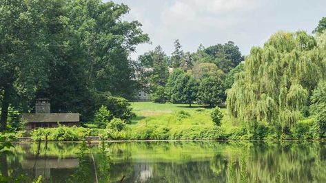 Haverford College Aesthetic, Vassar College Aesthetic, Bowdoin College Aesthetic, Haverford College, Class Tree, Hertford College Oxford, Somerville College Oxford, Liberal Arts College, Philadelphia Flower Show