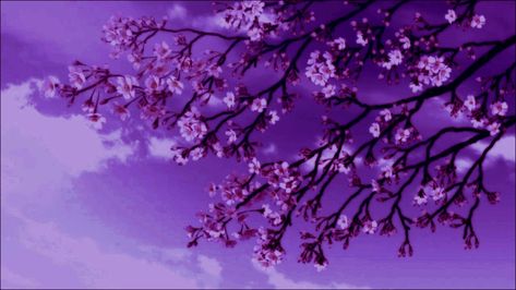 1280x700px Banner, I Cant Sleep, Purple Aesthetic, Cute Wallpapers, Banners, Wallpapers, Purple, Flowers, Quick Saves