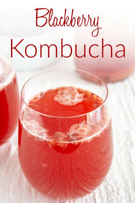 Blackberry Kombucha Recipe, Blackberry Kombucha, Kefir Water, Kombucha Recipes, Make Your Own Kombucha, Slow Summer, Kombucha Flavors, Homemade Kombucha, Kombucha Recipe