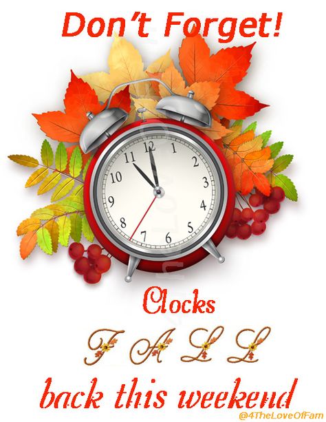 Daylight Savings time - fall back - Set Clocks Back Humor, Clocks Go Back Quotes, Happy November 1st Images, Turn Back Time Quote, Happy November 1st Quotes, November 1st Quotes, Day Light Savings Humor Fall Back, Daylight Savings Fall Back, Fall Back Time Change