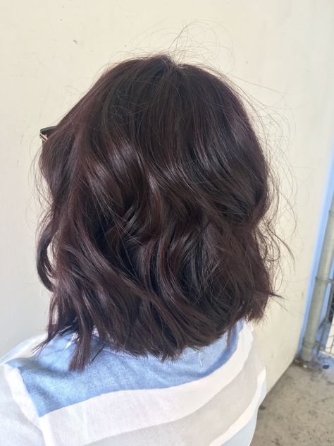 Lob haircut, short hair, purple hair, violet hair, dark violet hair color, hairstyle Dark Burgundy Hair Short, Dark Brown Hair Purple Undertones, Dark Purple Hair Short, Lob Haircut Short, Short Violet Hair, Dark Purple Short Hair, Dark Violet Hair Color, Purple Burgundy Hair, Short Hair Purple