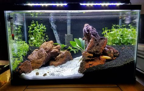 10 Gallon Aquascape, Cool Fish Tank Decorations, 10 Gallon Fish Tank, Aquascape Ideas, Fish Tank Gravel, Fish Aquarium Decorations, Fish Tank Themes, Goldfish Tank, Fish Tank Terrarium