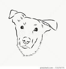 Silhouette simple head dog. Vector... - Stock Illustration [71079775] - PIXTA Dog Head Silhouette Tattoo, Money Images, Taylor Smith, Dog Vector, Vector Sketch, Head Tattoos, Dog Face, Face Design, Vector Stock