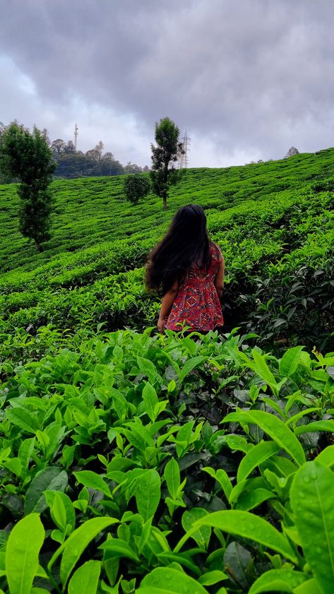 Somewhere into the tea gardens 🍃 Kerala Trip, Tea Gardens, Dreamcatcher Wallpaper, Tea Plant, Travel Pictures Poses, Ooty, Munnar, Trip Outfits, Pictures Poses