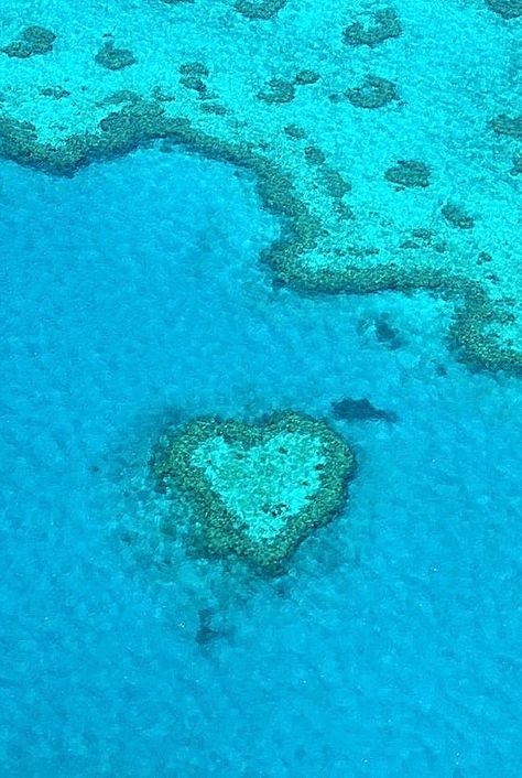 Aerial view of Heart Reef. Central Great Barrier Reef, Queensland, Australia Heart Island, Heart In Nature, Incredible Places, Great Barrier Reef, Perfect World, Pretty Places, Aerial View, Amazing Nature, Beautiful World