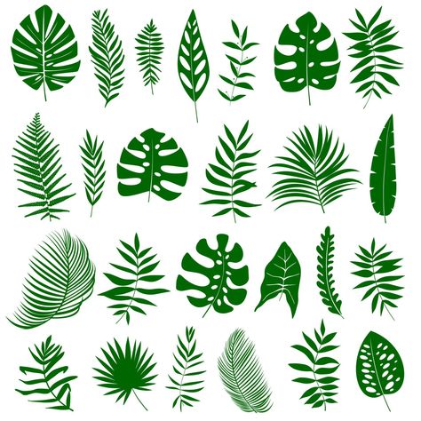 Banana Plant, Tree Fern, Leaf Silhouette, Fairy Jars, Banana Plants, Banana Tree, All About Plants, Tropical Leaves, Tropical Plants