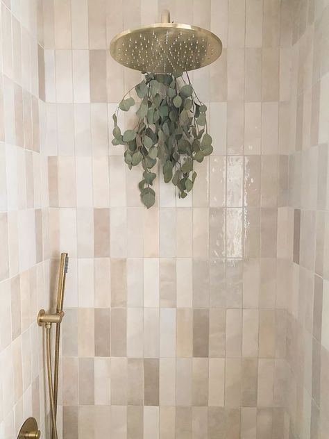 Cloe Tile, Master Shower Tile, Bathroom Tiles Combination, Master Bath Tile, Basement Finish, Shower Tile Ideas, New Bathroom Ideas, Master Shower, Master Bath Remodel