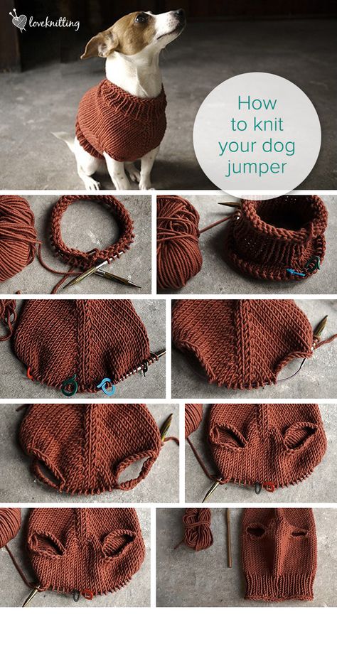 Hondejas Knitted Dog Sweater Pattern, Dog Sweater Pattern, Knit Dog Sweater, Knitting Tips, How To Knit, Crochet Dog, Dog Sweaters, Sweater Knitting Patterns, Knitting Tutorial