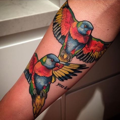 Lorikeet tattoo Sam Clark, Dream Tattoos, Shoulder Tattoo, Tattoo Art, Interesting Art, Art Tattoo, Body Art, Tattoo Ideas, Coming Soon