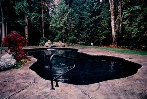 Pool Inspiration, Black Pool, Pool Liner, Pool Remodel, Pool Liners, Tub Ideas, Pool Picture, Goth Home, House Luxury