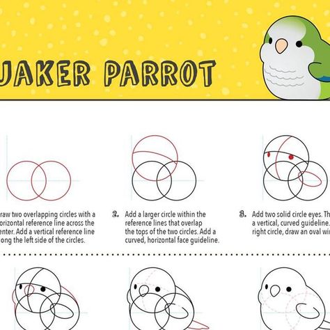 Tutorial Infographic, Quaker Parrot, Illustration Animals, Birds Art, Sketch Ideas, Upcoming Books, Pusheen, Art Illustration, Parrot