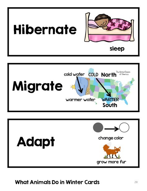 Hibernation Preschool Theme, Hibernation Preschool Activities, Winter Animals Preschool, Hibernation Preschool, Hibernation Activities, Animals In Winter, Animals That Hibernate, Winter Science, Winter Unit