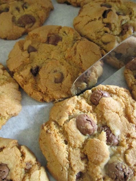 Chocolate Covered Raisin Cookies, Chocolate Raisin Cookies, Raisin Filled Cookie Recipe, Chocolate Chip Raisin Cookies, Raisin Filled Cookies, Easy Rhubarb Recipes, Raisin Cookie Recipe, Oatmeal Pie, Batch Baking