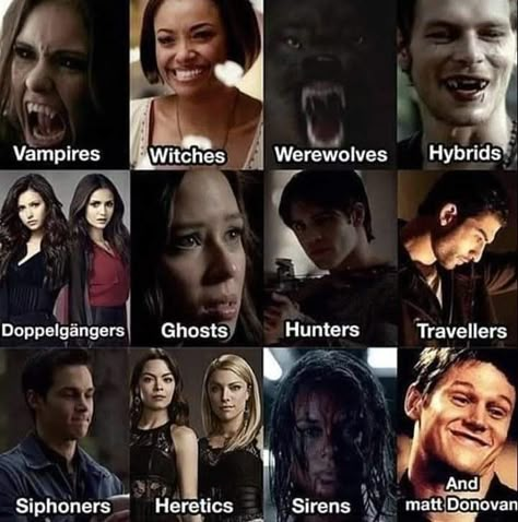 Tvd Quotes, Vampire Diaries Memes, Vampire Diaries Poster, Damon Salvatore Vampire Diaries, Vampier Diaries, Damon And Stefan, Series Quotes, Vampire Diaries Movie, Vampire Diaries Seasons