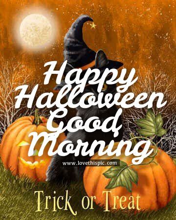 Good Morning Halloween, Halloween Good Morning, Happy Halloween Gif, Happy Halloween Quotes, Good Morning Cartoon, Happy Halloween Pictures, Quotes Halloween, Halloween Pics, Happy Day Quotes