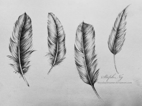 White Feather Tattoos, Commercial Background, Feather Sketch, Indian Feather Tattoos, Brother Tattoos, Feather Texture, Freehand Drawing, Feather Tattoo Design, Forearm Sleeve