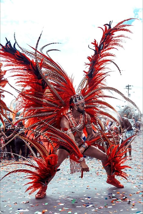 Outfit Male, Trinidad Carnival, Samba Outfit, Carnival Costumes, Trinidad, Beach Pictures, Fall Wreath, Feathers, Places To Go