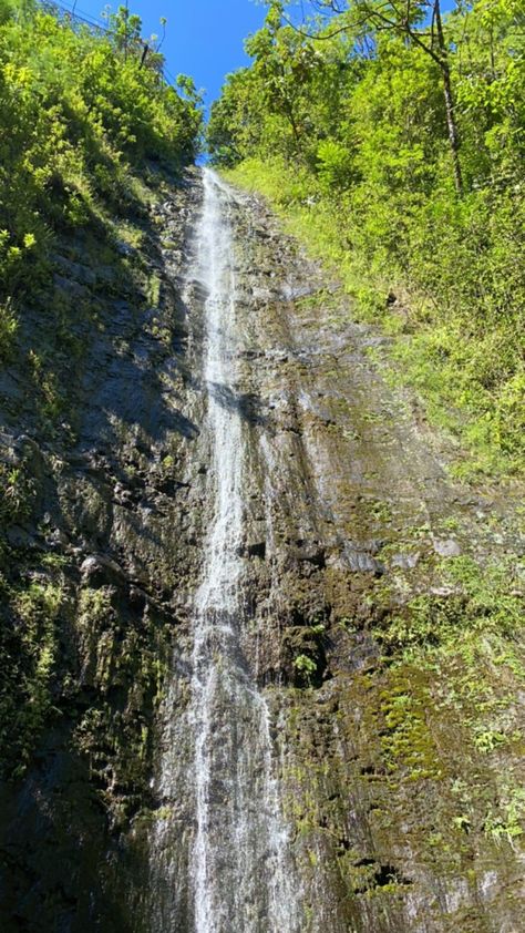 waterfall, oahu, hawaii, hikes, waterfall hike, hawaii, green, plants Manoa Falls Oahu, Manoa Hawaii, Uh Manoa, Manoa Falls, Hawaii Life, Aloha Hawaii, Oahu Hawaii, Dream Board, Big Island