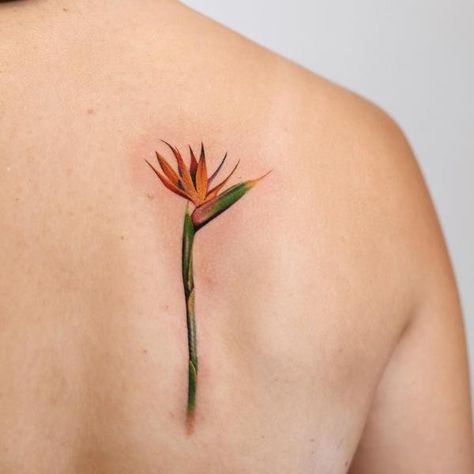 Bird Of Paradise Tattoo, Paradise Tattoo, Tattoo Spots, Freedom Art, Birds Of Paradise Flower, Symbol Tattoo, Phoenix Bird, Symbol Tattoos, Language Of Flowers