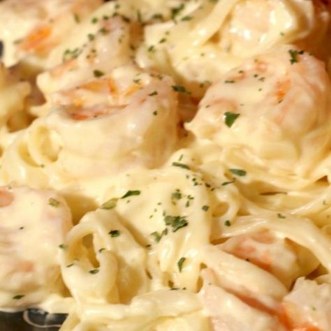 Shrimp And Mozzarella Recipes, Seafood Alfredo Recipe, Fetuchini Alfredo, Shrimp Pasta Recipes Creamy, Shrimp Alfredo Pasta Recipes, Seafood Alfredo, Shrimp Pasta Recipes Easy, Shrimp Alfredo Recipe, Fettucini Alfredo