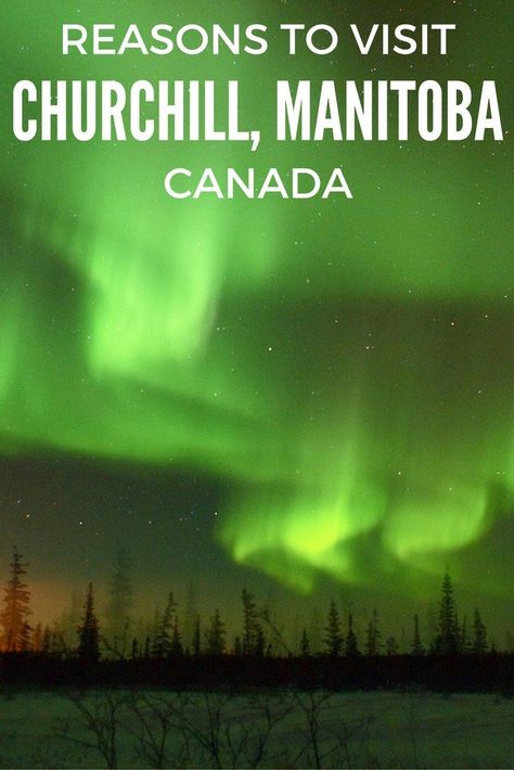 Churchill Canada, Manitoba Travel, Churchill Manitoba, Beluga Whales, Arctic Landscape, Best Vacation Destinations, Manitoba Canada, See The Northern Lights, Explore Canada