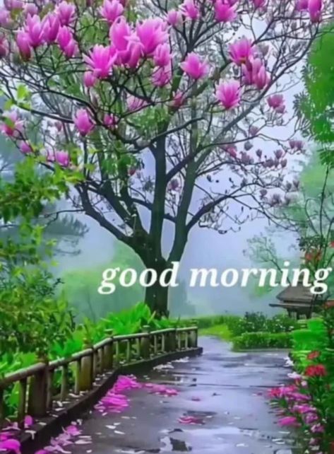 Good Morning With Flowers, Happy Monday Good Morning, Monday Good Morning Wishes, Monday Good Morning, Good Morning Wish, Gm Images, Good Morning Monday Images, Good Morning Sun, Monday Images