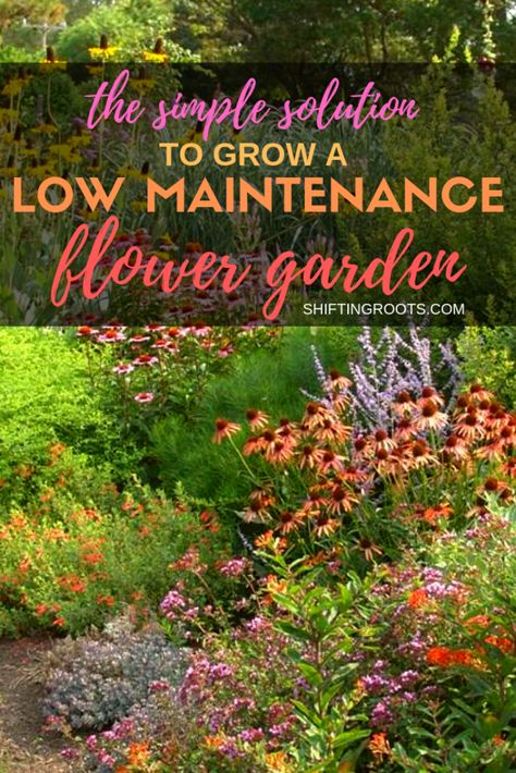 5 Benefits to Landscaping with Low Maintenance Native Plants Perennials Flowers, Native Plant Landscape, Drought Resistant Plants, Native Plant Gardening, Backyard Landscape, Drought Resistant, Low Maintenance Landscaping, Low Maintenance Garden, Pollinator Garden