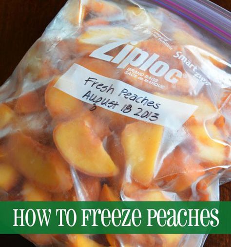 Homestead 101, Canned Meals, Freeze Vegetables, Food Freezing, Freeze Fruit, Freezing Peaches, Freezer Ideas, Freeze Food, Food Suggestions