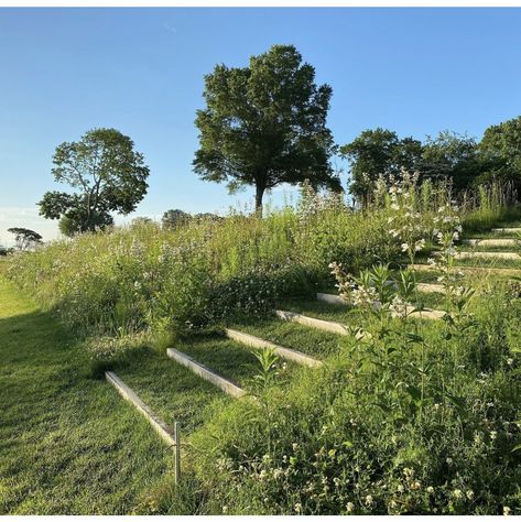 Outside Stairs Design, Slope Landscaping Ideas, Lawn Steps, Sloped Landscape, Slope Garden, Landscaping A Slope, Landscape Stairs, Beautiful Composition, Sloped Backyard