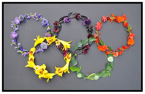 Let the games, begin | Growing with Plants Olympic Flower Arrangement, Garden Center Displays, Olympic Rings, E.t Art, Garden Center, Cool Plants, Botanical Gardens, Flower Designs, Floral Art